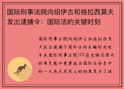 国际刑事法院向绍伊古和格拉西莫夫发出逮捕令：国际法的关键时刻