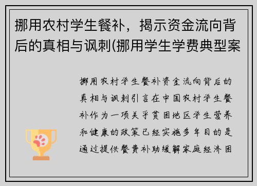 挪用农村学生餐补，揭示资金流向背后的真相与讽刺(挪用学生学费典型案例)