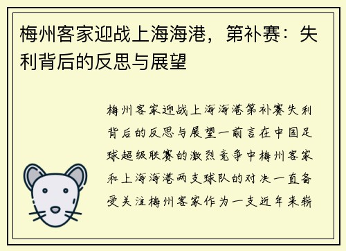梅州客家迎战上海海港，第补赛：失利背后的反思与展望