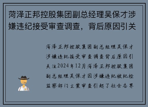 菏泽正邦控股集团副总经理吴保才涉嫌违纪接受审查调查，背后原因引关注