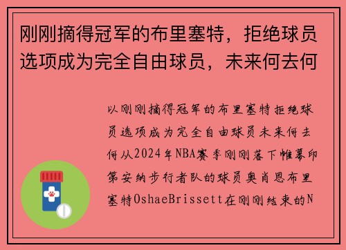 刚刚摘得冠军的布里塞特，拒绝球员选项成为完全自由球员，未来何去何从？